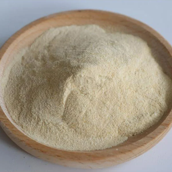 Is Xanthan Gum Transforming Modern Food and Industrial Applications?